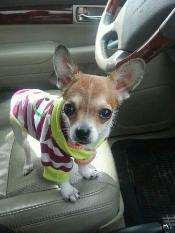 Рузана Грачева