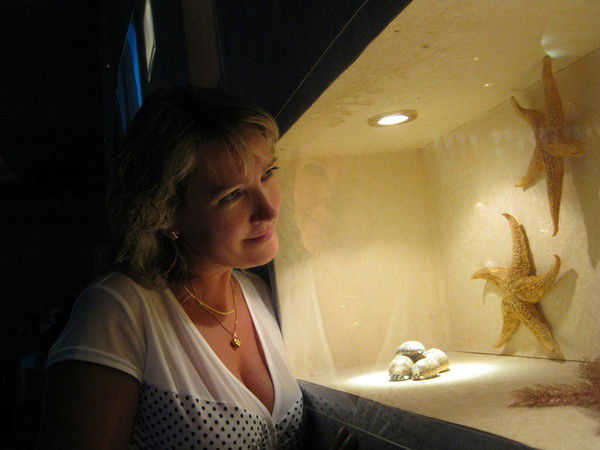 Елена Шихова