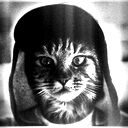 Mister Dort