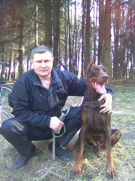 Андрей Стонога