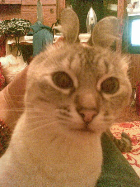 Любовь Гаврильченко