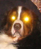 Неизвестно Неизвестно