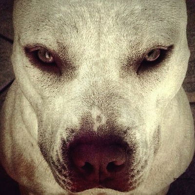 Максим Руденко