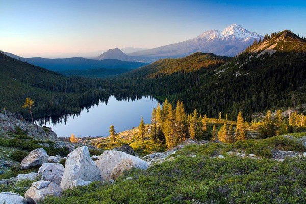 Алишер Бекмуратов