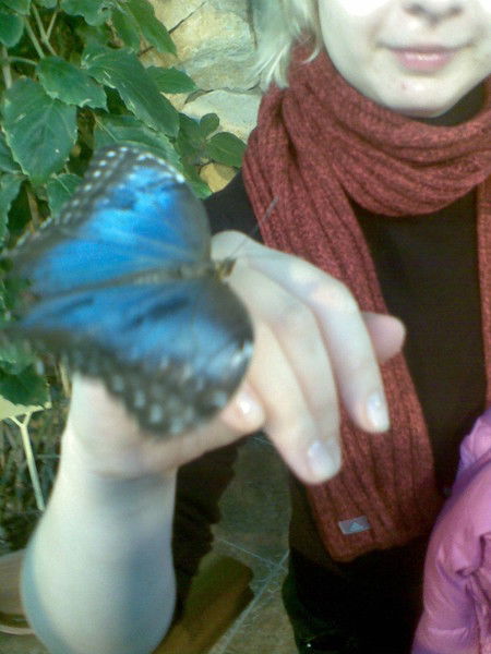 Инна Воробьева