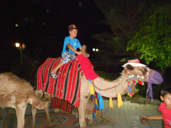 Данила Ваганов