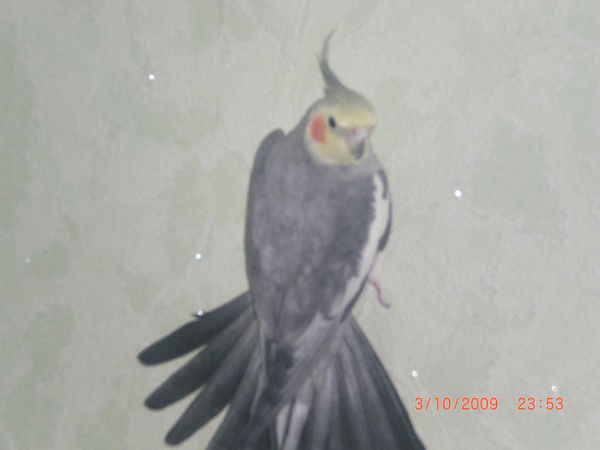 Ульяна Пряничникова