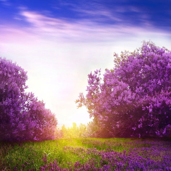 Юля-Толик Коваленко