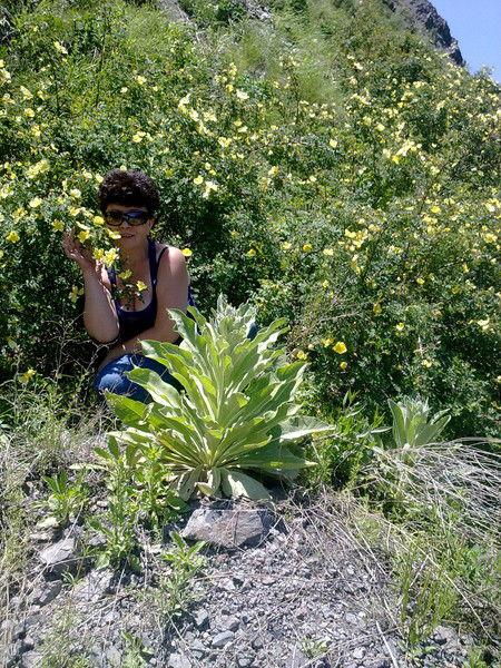 Светлана Поверенная