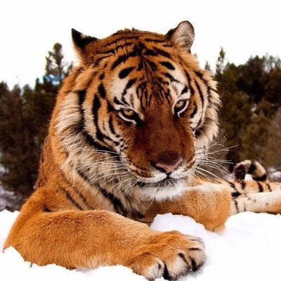 Артём Феклистов