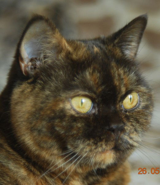 Наталья Алексеевна