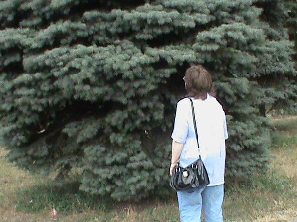 Татьяна Сидоренко