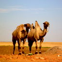 Игорь Николаевич Хоботилин