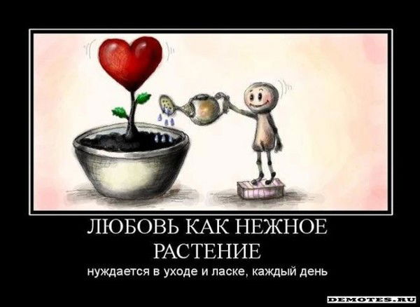 Aсaновa Жылдыз