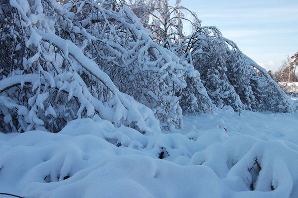 Зулфия Нишонова