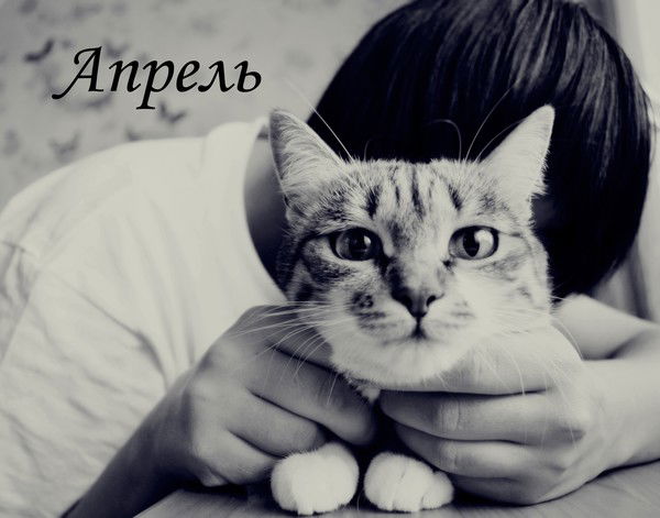 Затаив Дыхание Я Рисую Жизнь