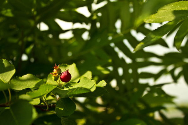Татьяна Николаевна