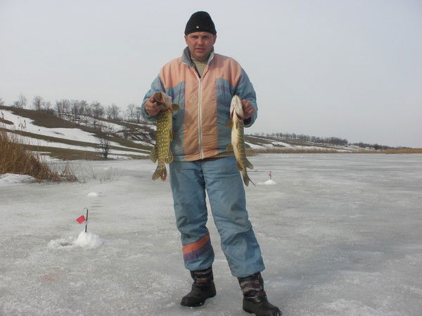 Андрей Наймушин