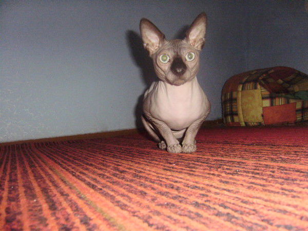 Вера Иванчук