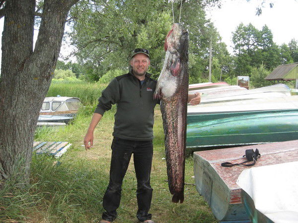 Александр Волчанский