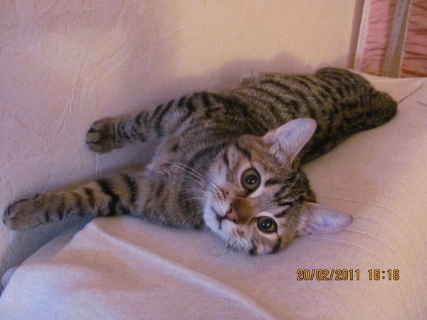 Ольга Пардаева