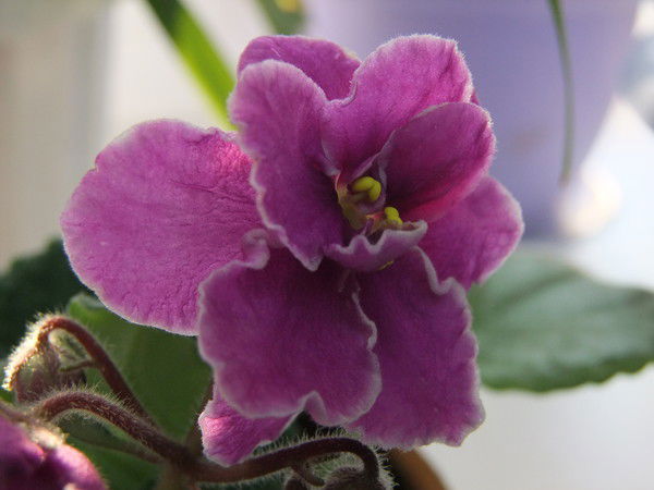 Марина Данилова