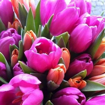 Наталья Софьина