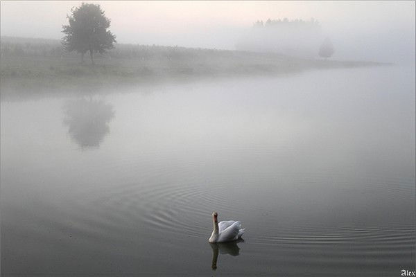 Татьяна Романова