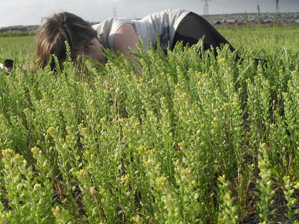 Алёна Кулакова