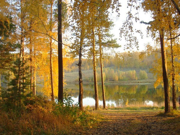 Наталия Кузнецова