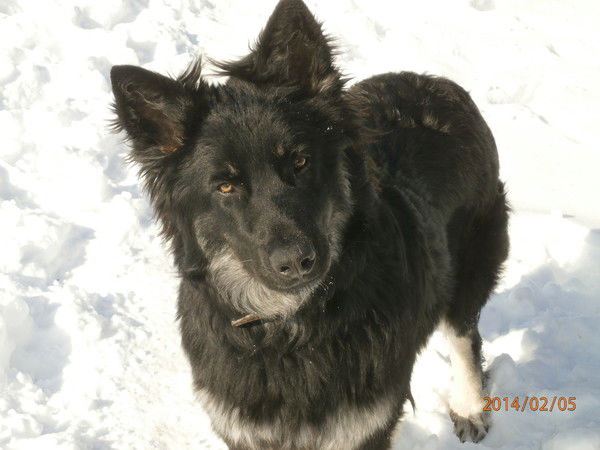 Александр Алексеенко