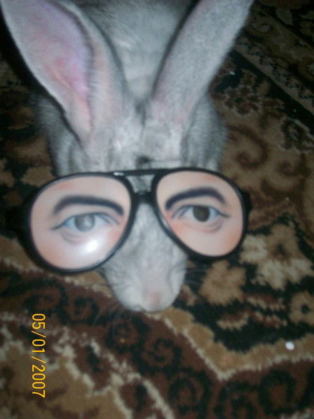 Татьяна Белянцева