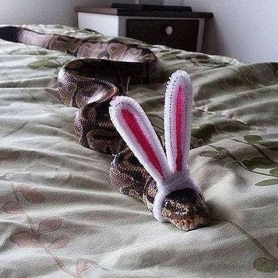 Александра Гончарова