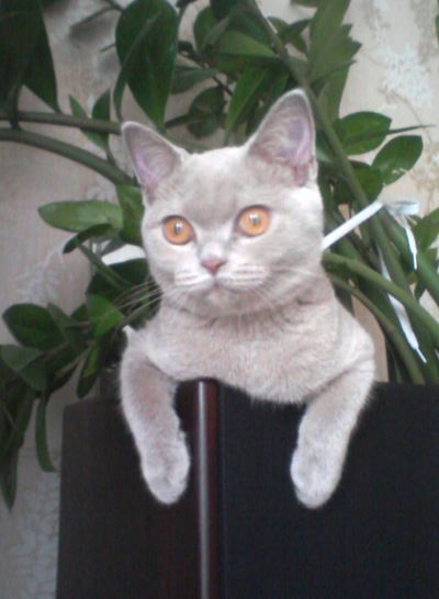 Валентина Круглова