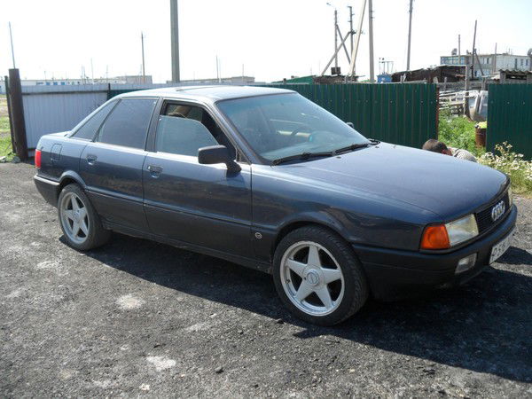 Давид Нетрибовский