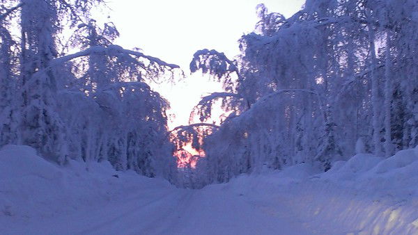 Николай Бирюков