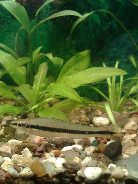 Мария Морозова