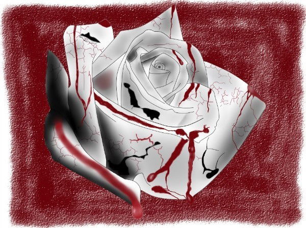 Антон Серый