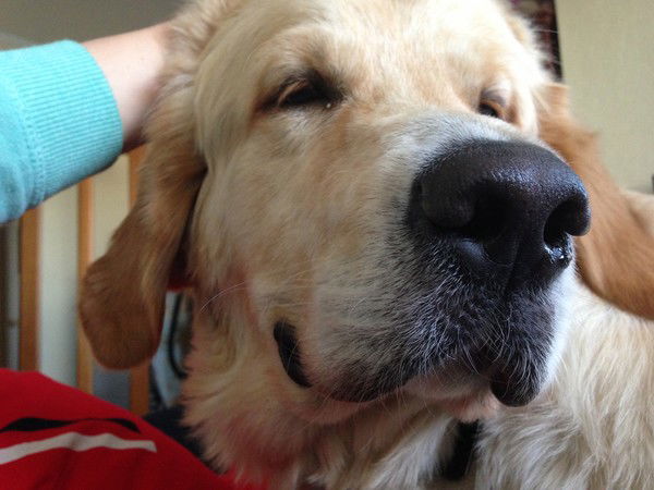 Викусёнок *********