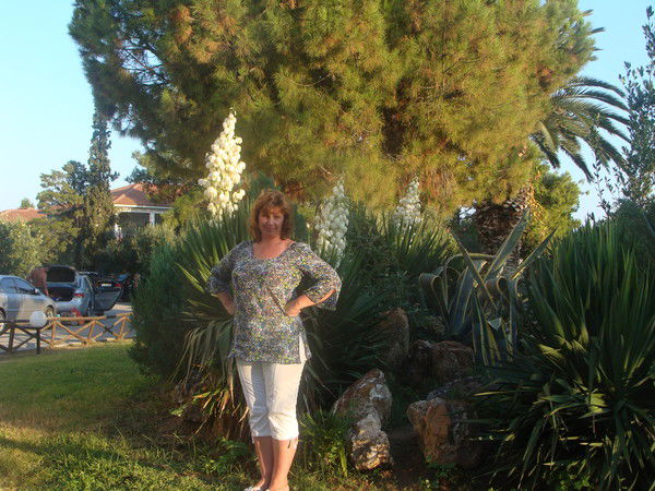 Елена Варакина