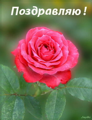 Юлдуз Дигматдинова