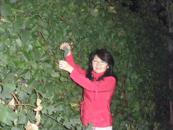 Жанан Анеке