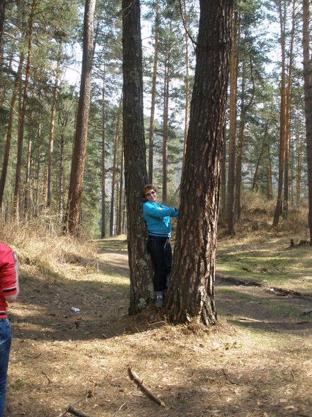 Татьяна Молчанова