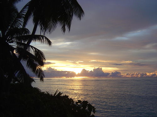 Антон Карпов