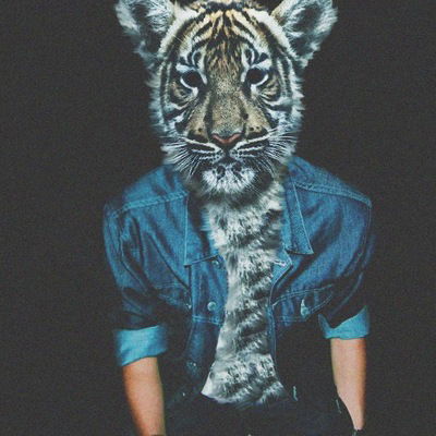 Александр Дрезюля