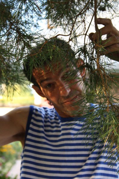 Юрий Шевченко