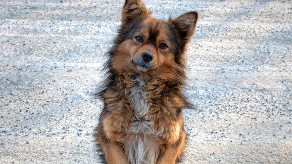 Мария Седлецкая