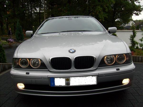 Дмитрий Хлыстик