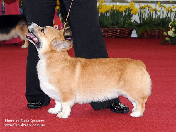 Людмила Смирнова