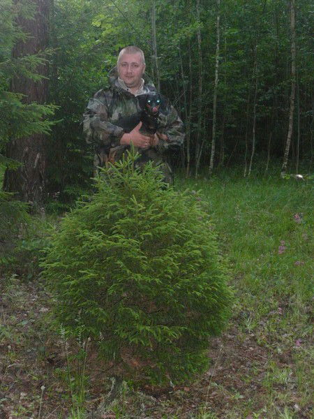 Алексей Девятых